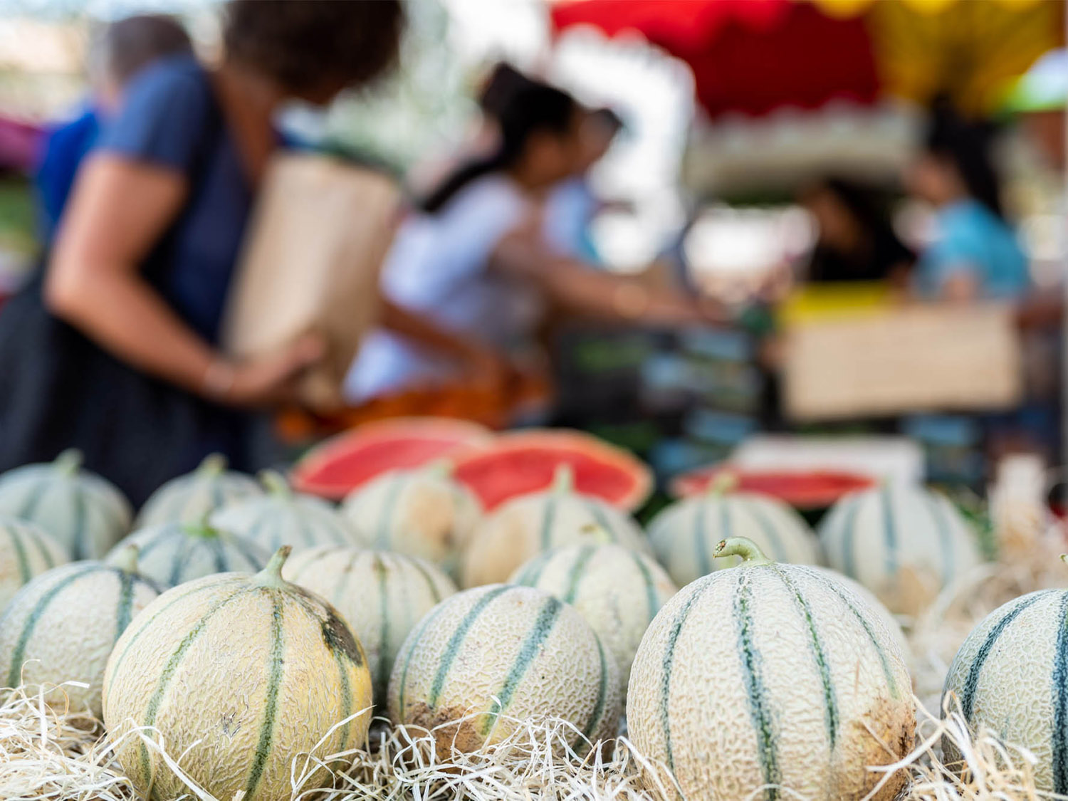 Marché de Cavaillon