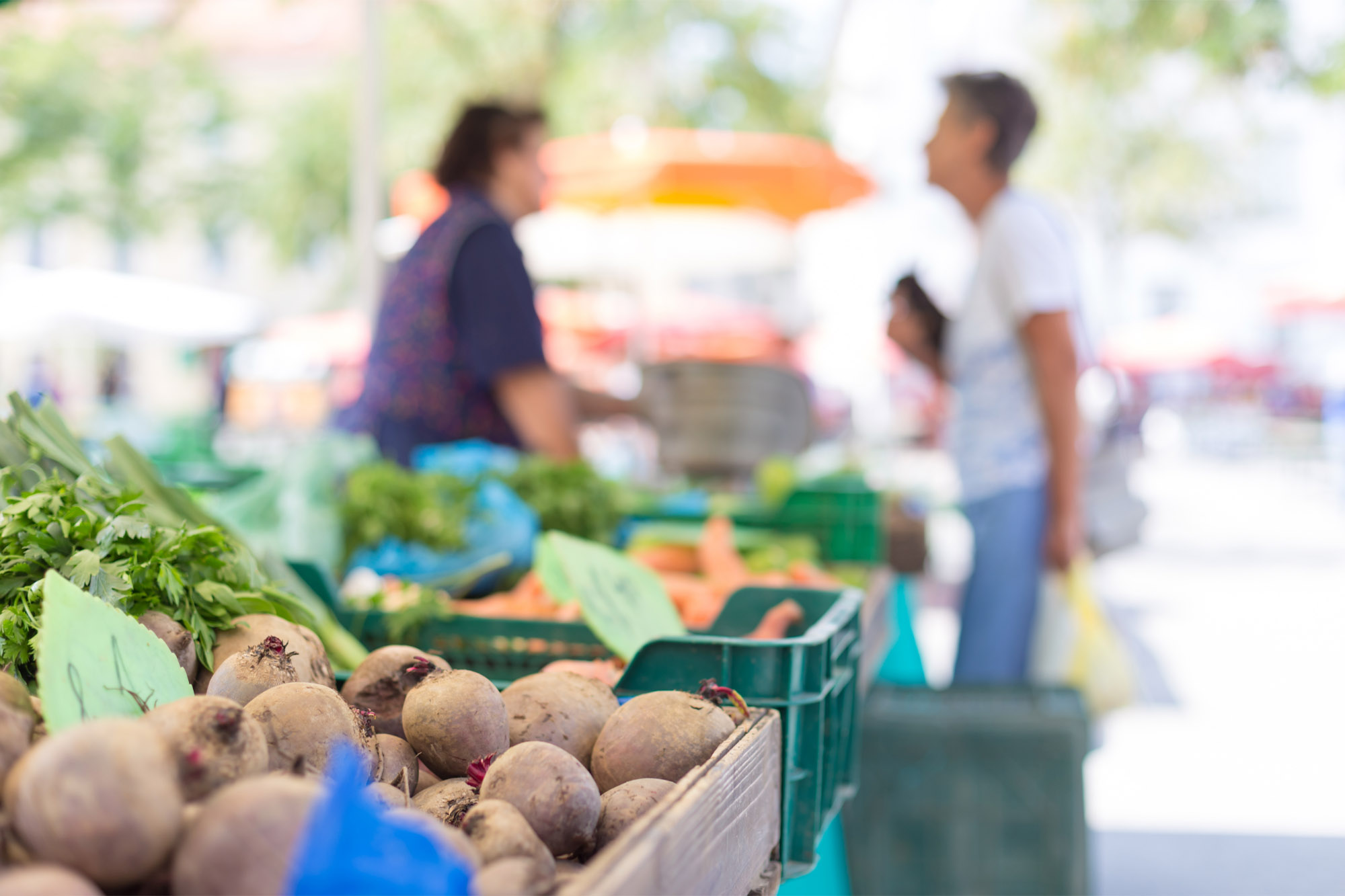 Marché des producteurs - Cavaillon